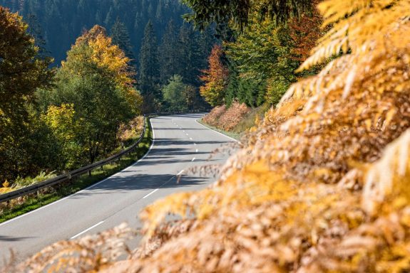 Kurvenreiche Straße entlang eines felsigen Berghangs, umgeben von herbstlich gefärbten Bäumen
