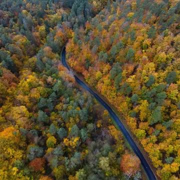 Luftaufnahme einer Straße durch einen herbstlich gefärbten Wald mit gelben, grünen und orangefarbenen Bäumen